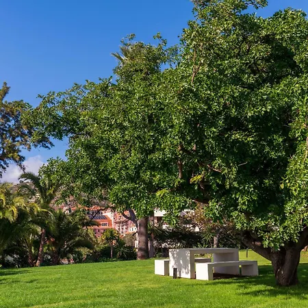 Acqua Ii By An Island فونشال